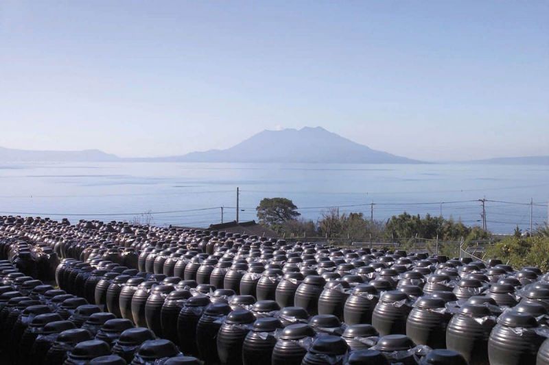 sakurajima-kurozu sakurajima-kurozu